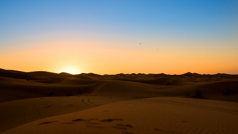 Marrakech y Desierto