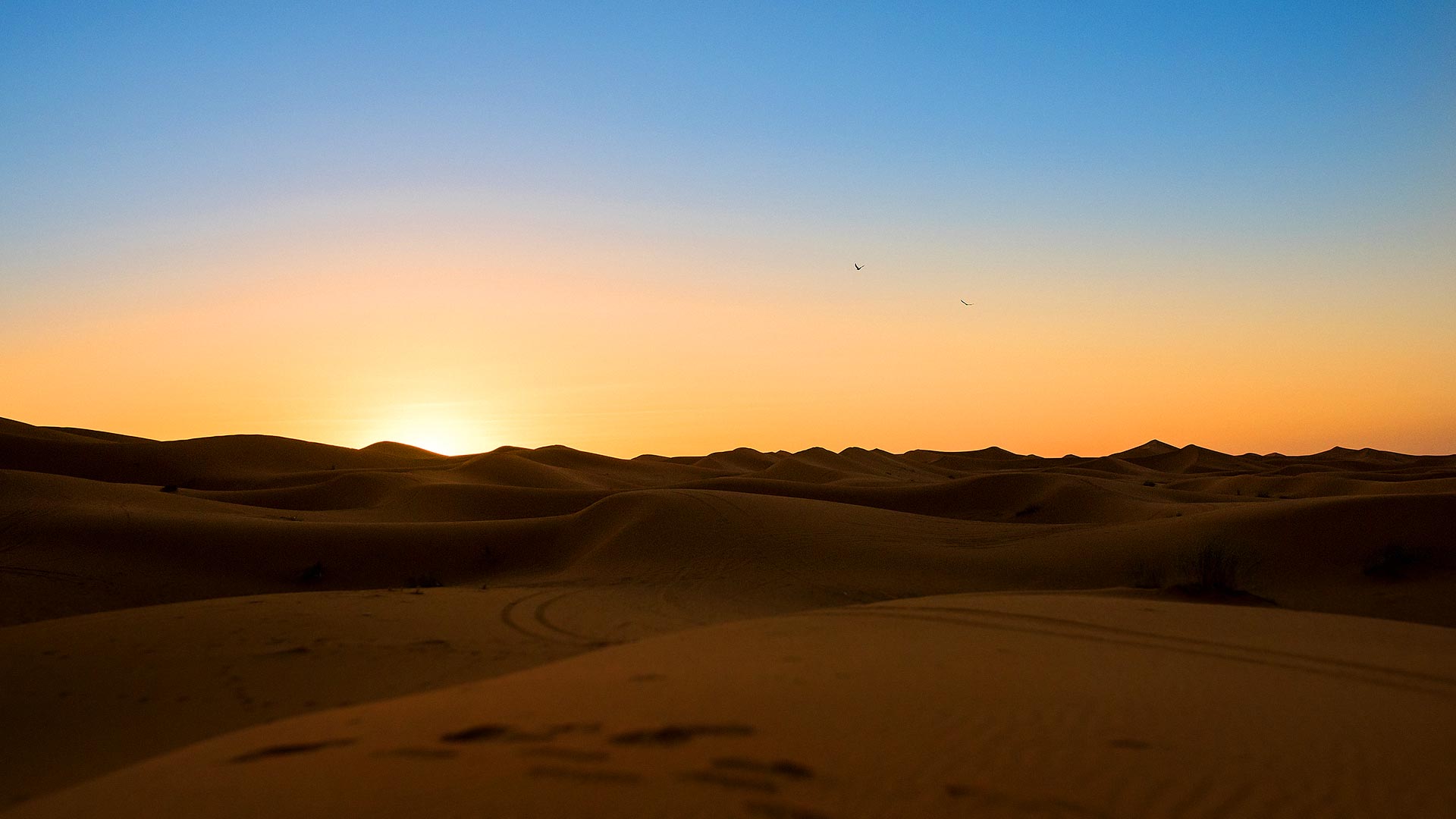 night desert morocco