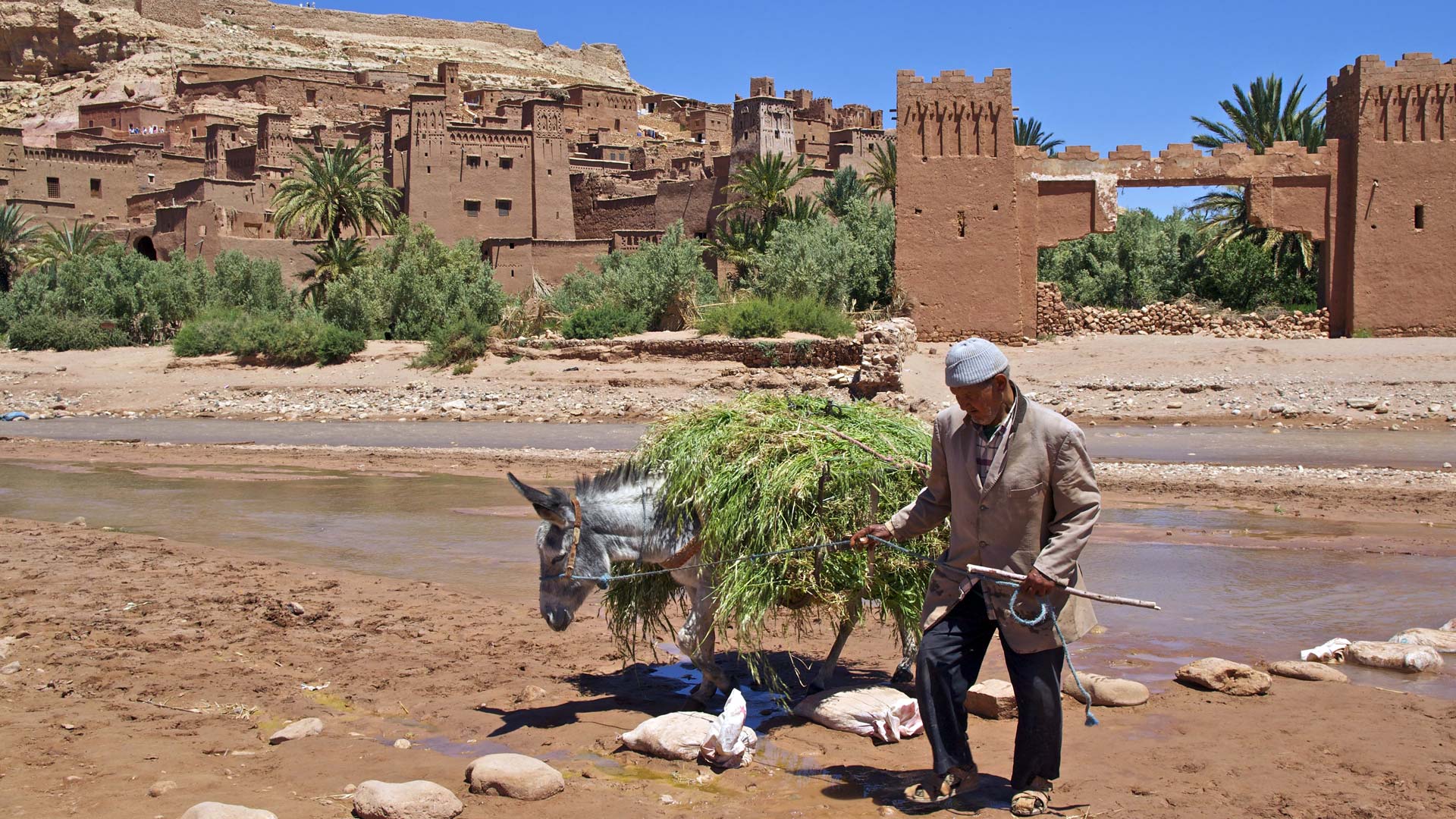 Ouarzazate, Marruecos. Excrusiones personalizadas.