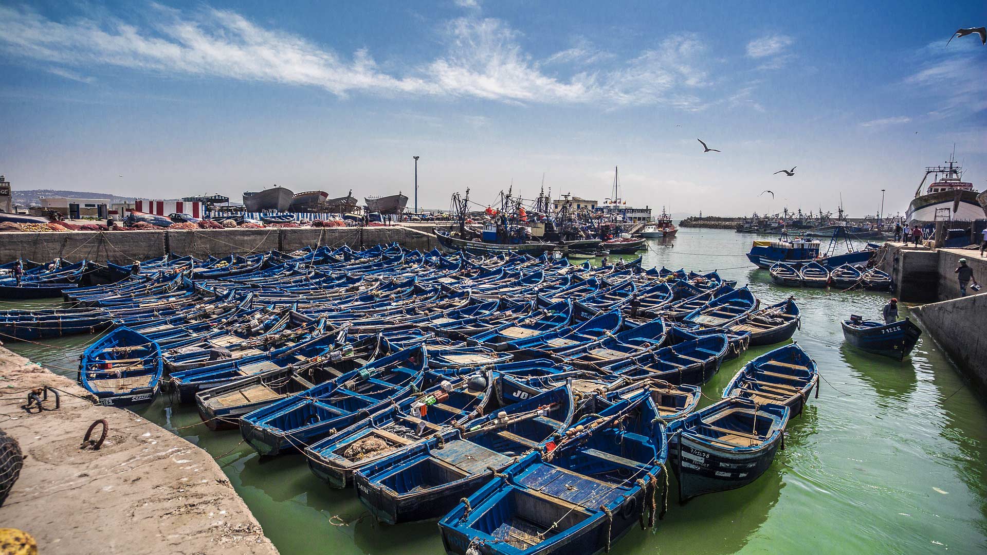 Boats in the port of Essaouira, Morocco.
