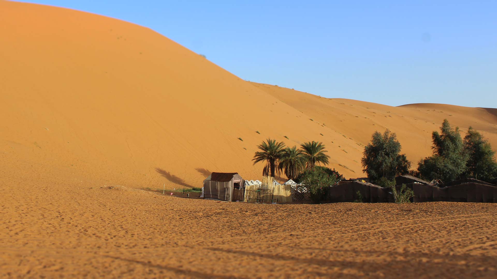 haima desert